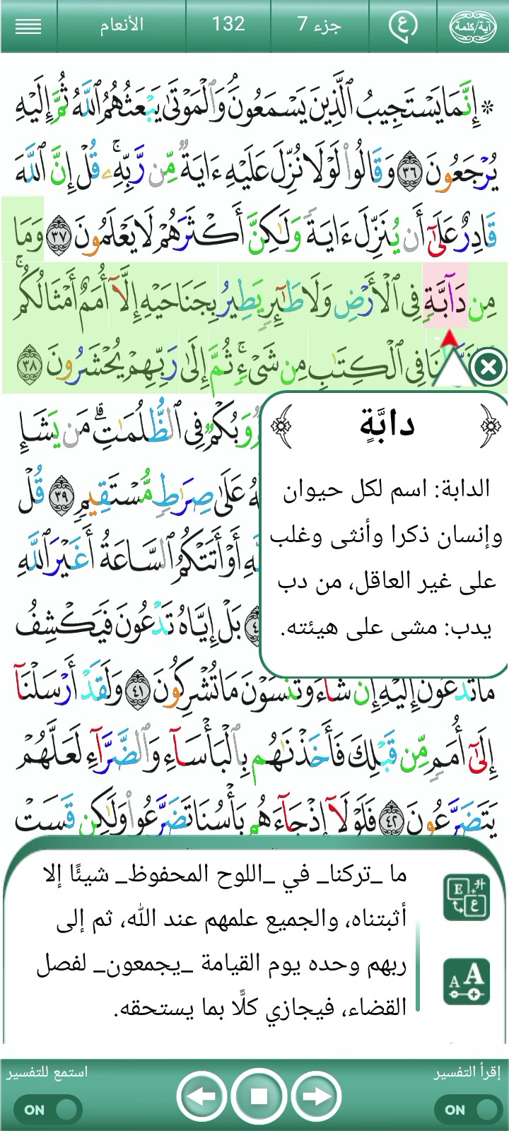 ویڈیو کور